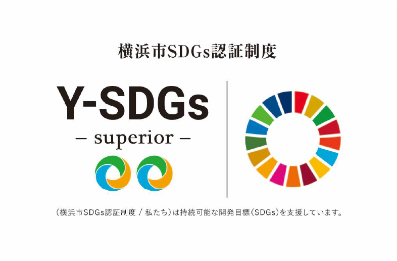 Y-SDGs